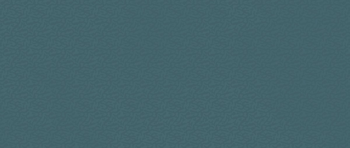 Boost Color Navy Frog  